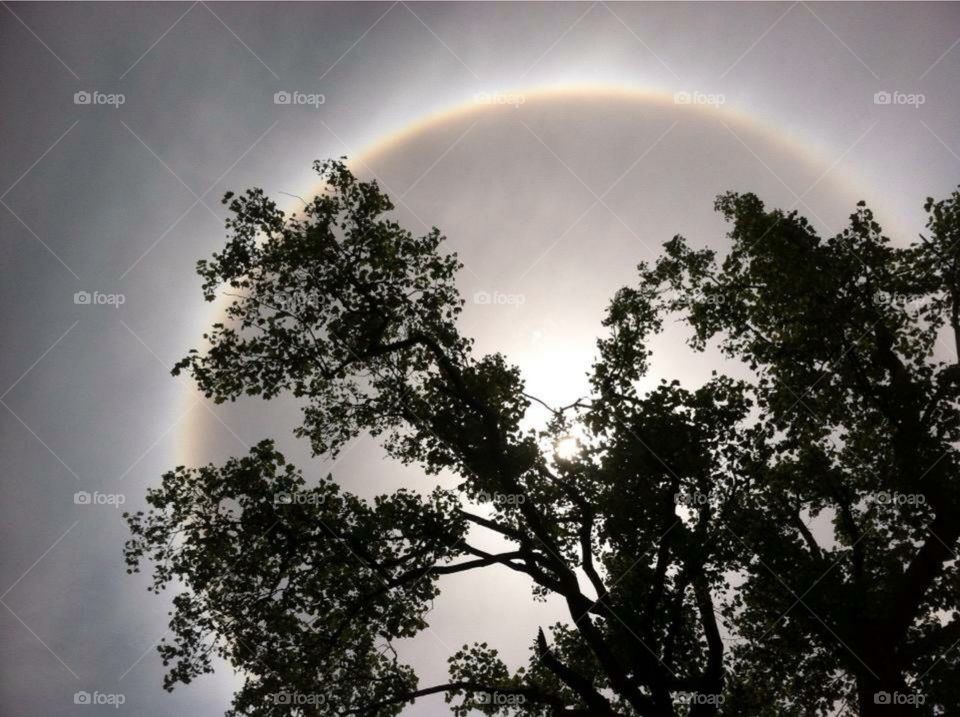 Circle in the sky. Rare phenomenon occurring in New Jersey