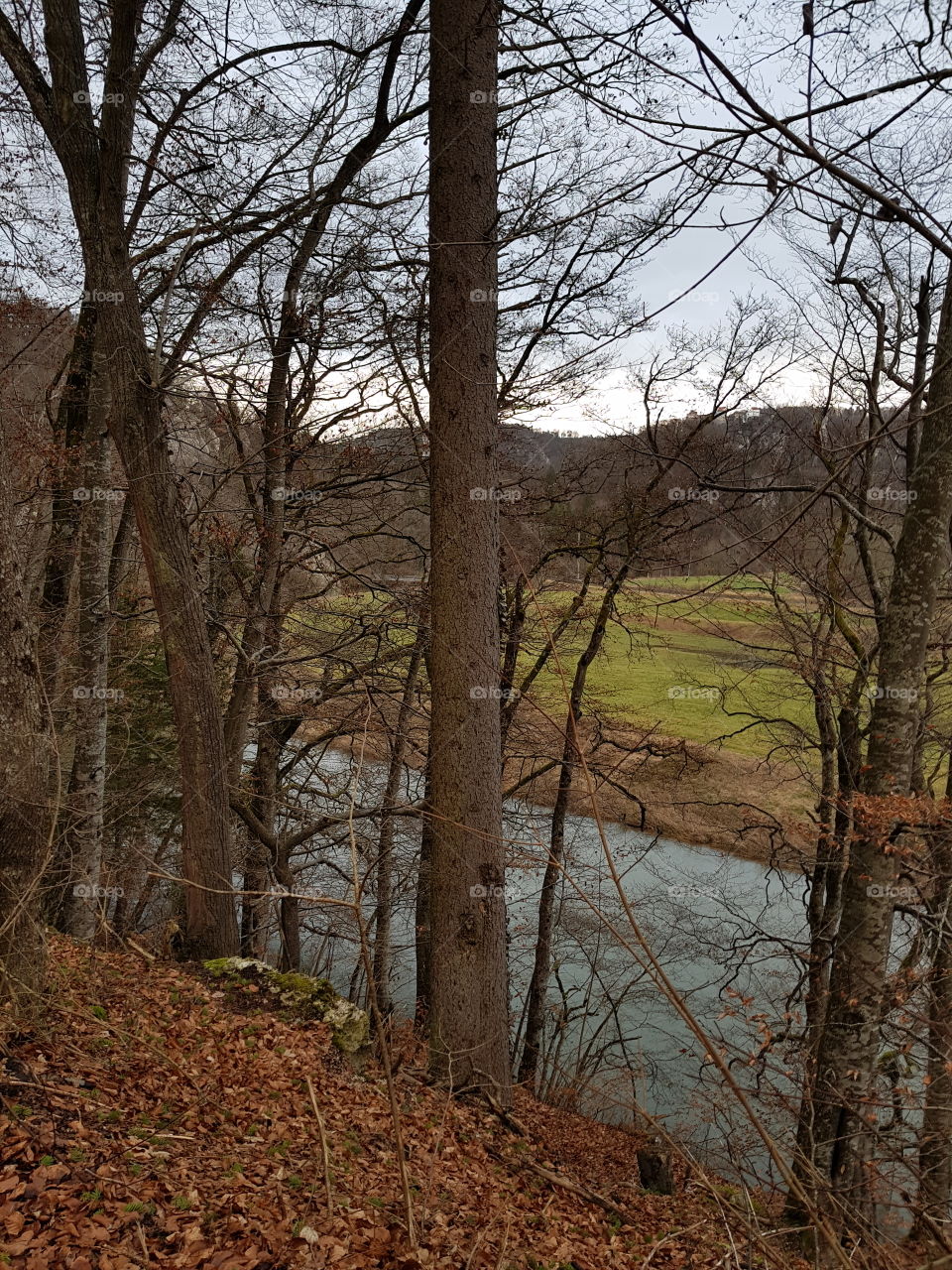 Donau zwischen Sigmaringen und Beuron im Januar 2018