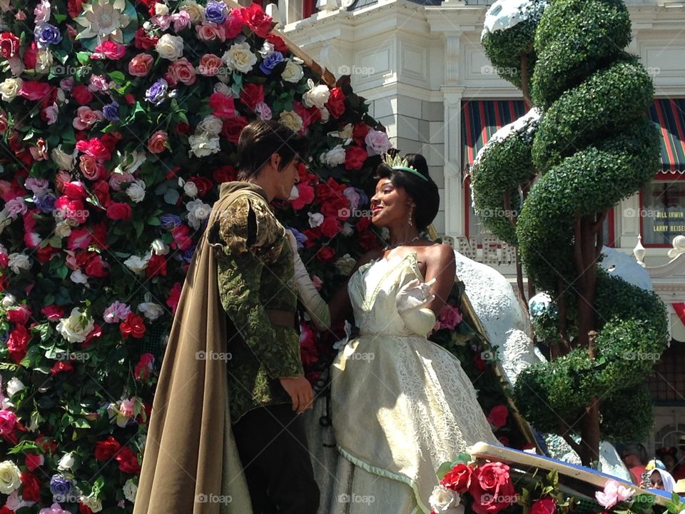 Disney World Magic Kingdom