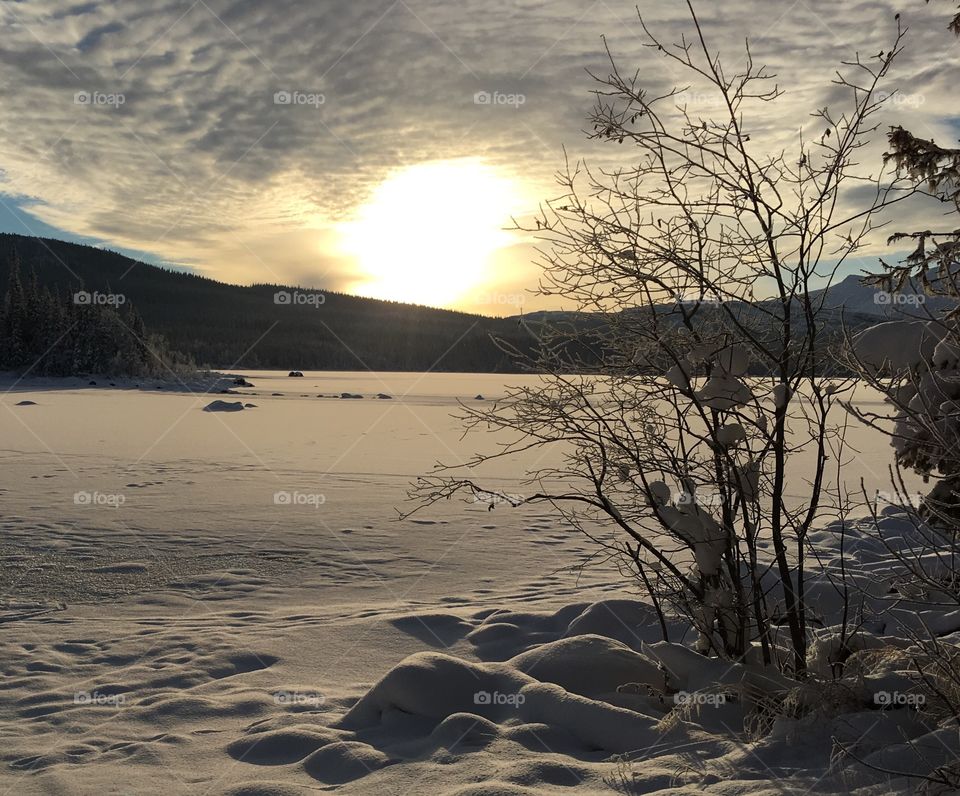 View of snowy landscape
