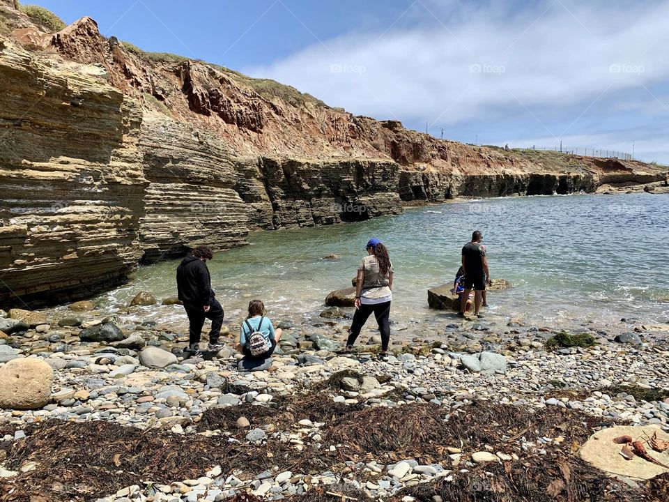 Vacation days in San Diego, California. Exploring what’s on this shoreline. Connecting with nature.