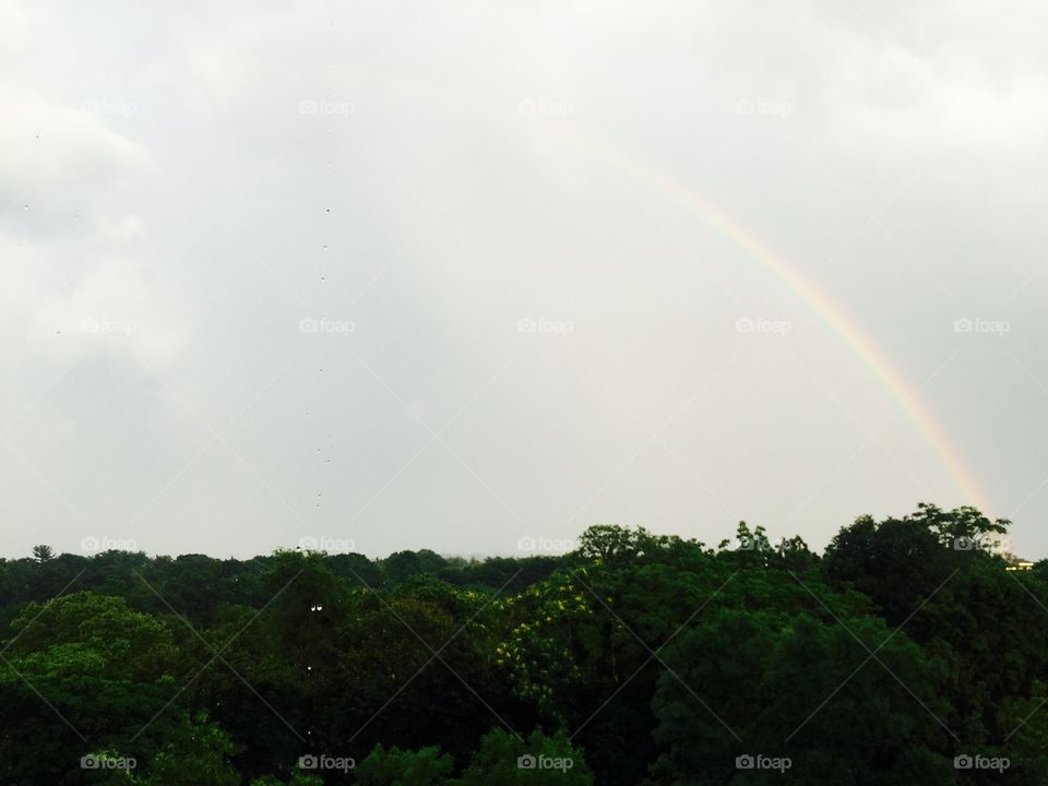 Rainbow after rain storm 
