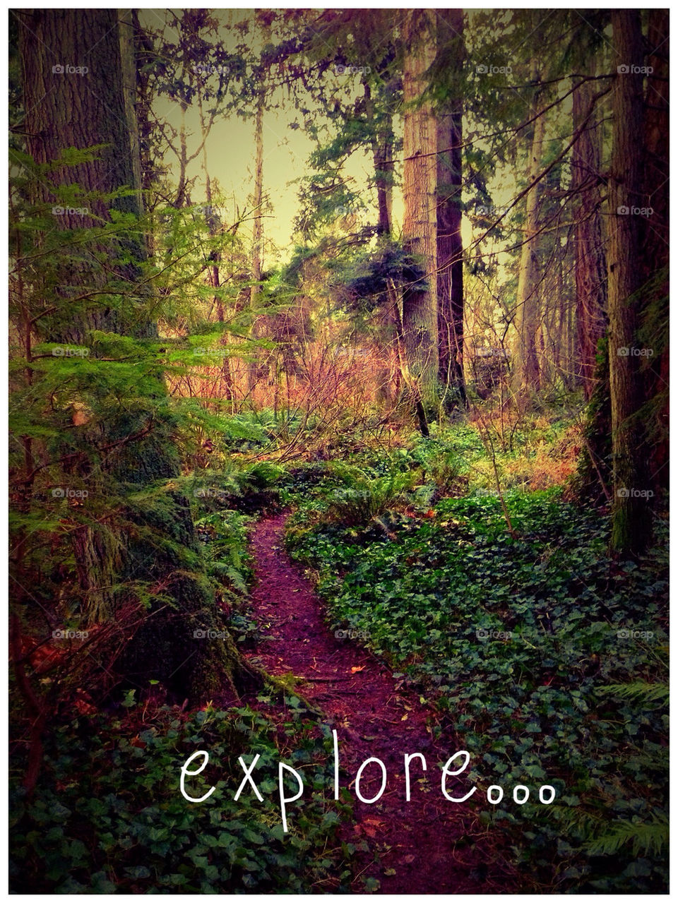 Explore...