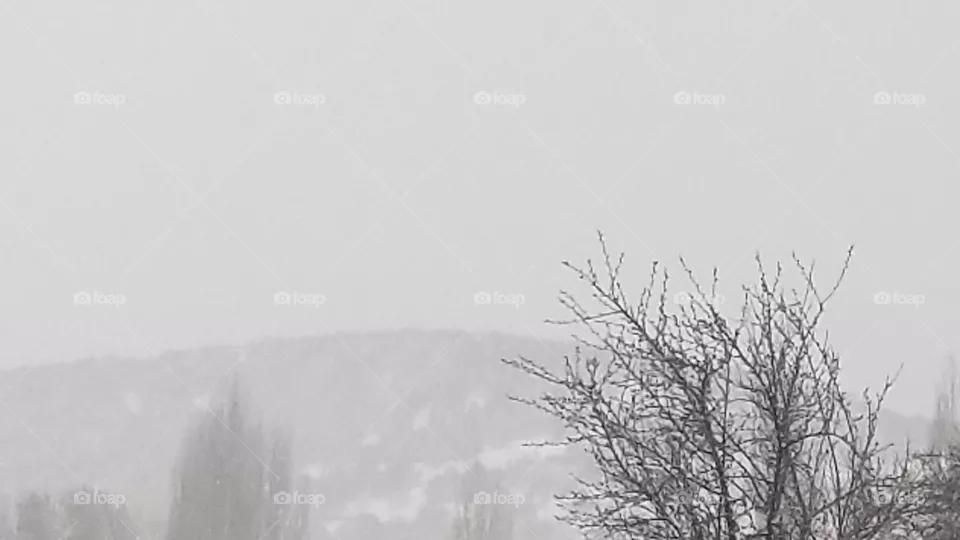 Snow