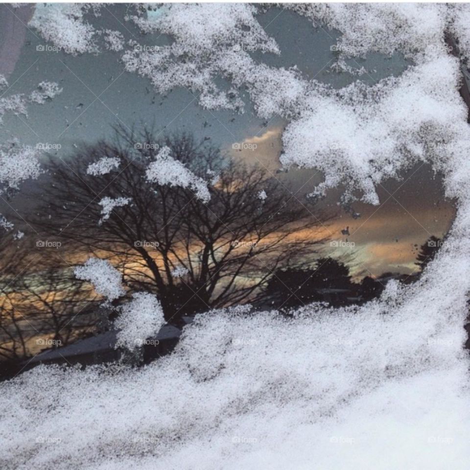 Snowy windows
