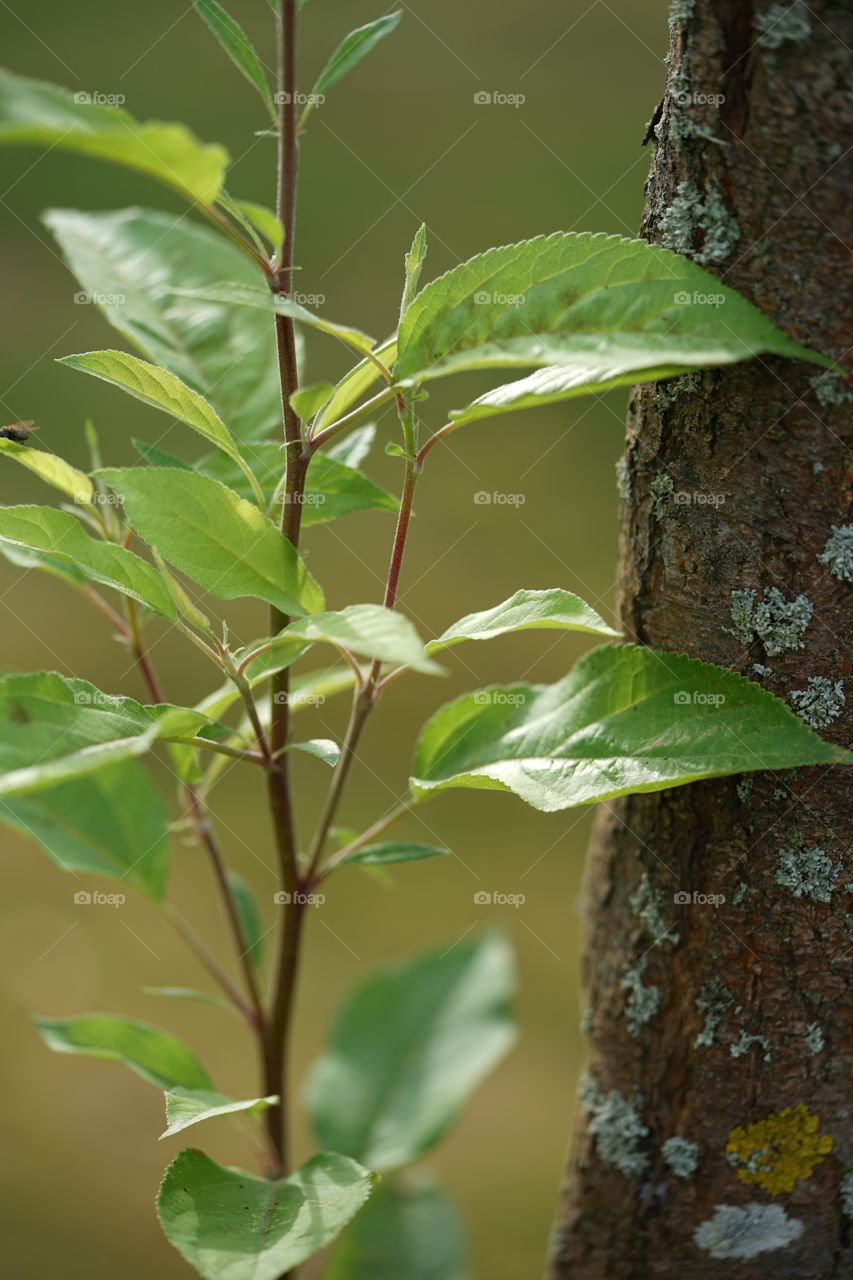 In a park in Antwerp