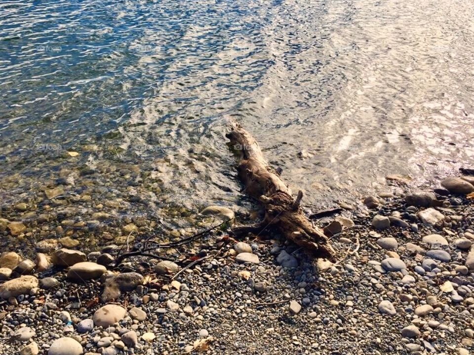 Adrift on a Autumn Afternoon