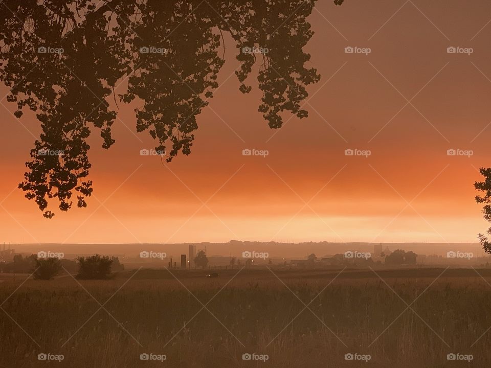 orange in the distance