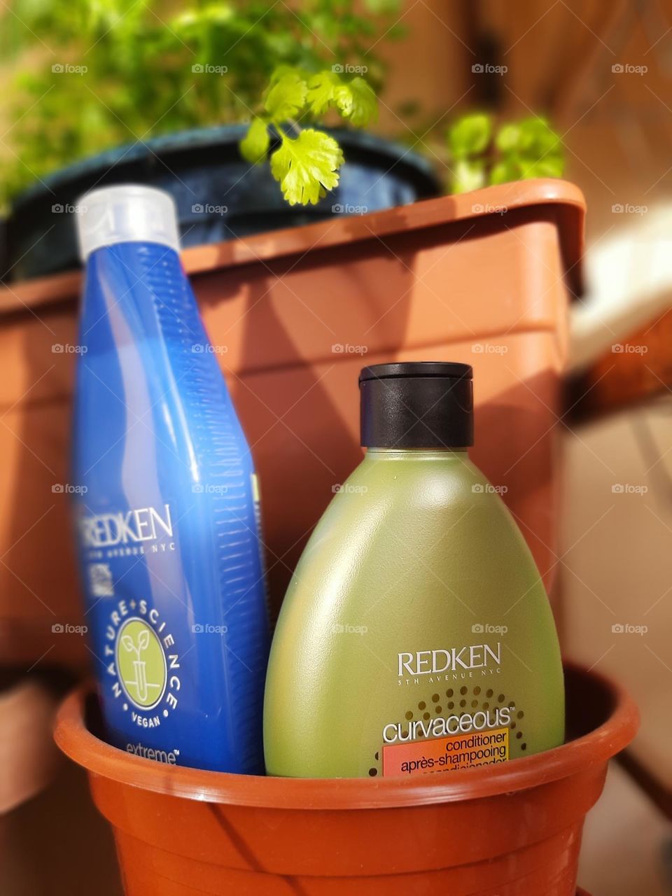 Hair Treatment Favourite