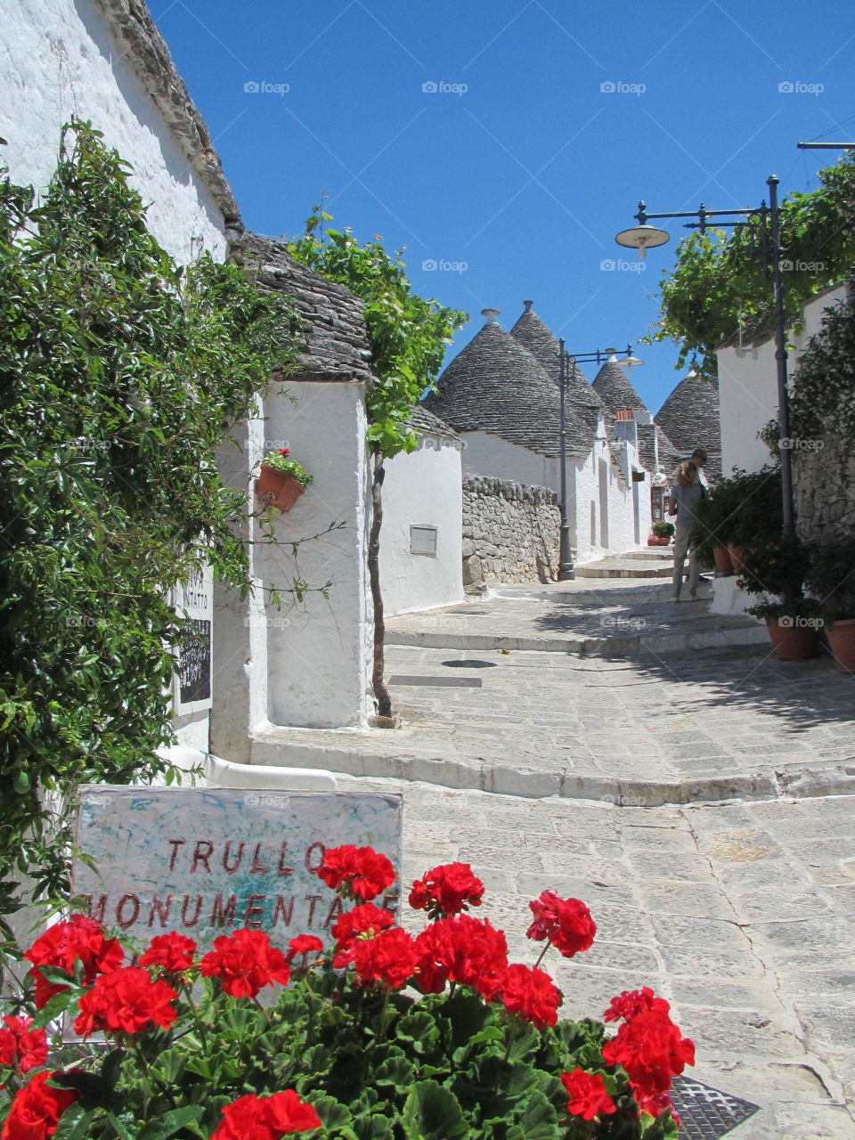 Alberobella 