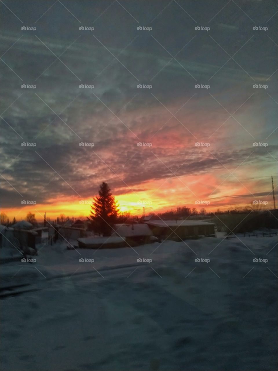 syberian winter, train