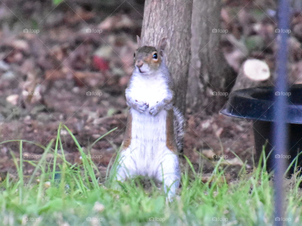 got anymore of those nuts?