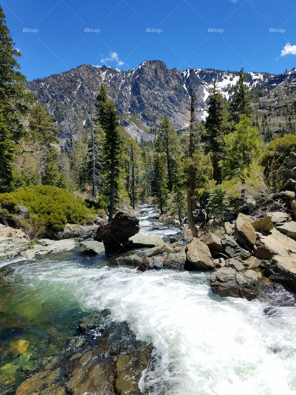 springtime in our Sierras