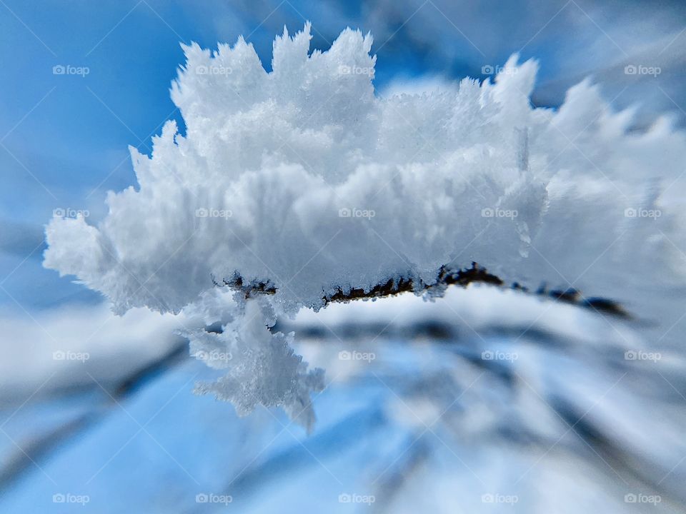 Beautiful rime ice!! 