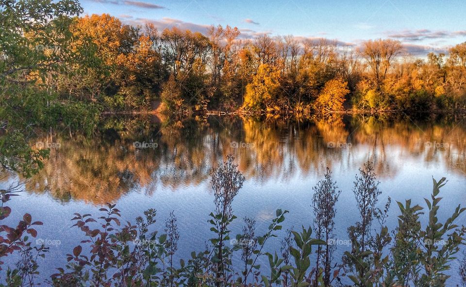 Autumn trees reflection on lake