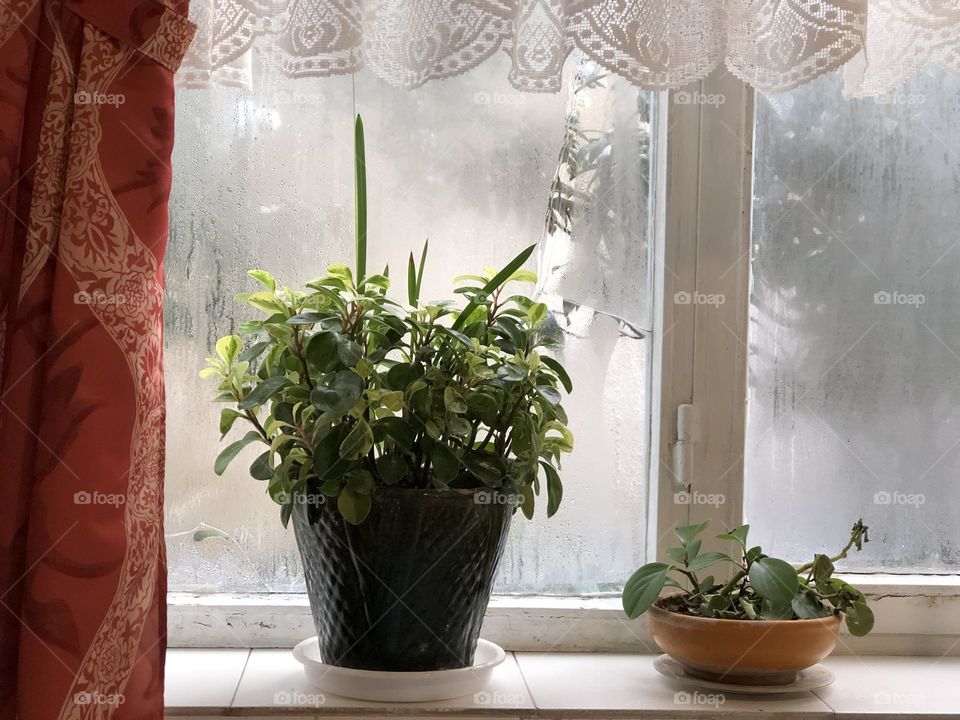 Steam and light together creating a painting, like that made by watercolor, on the kitchen window