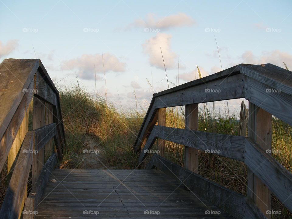 Pathway to the beach