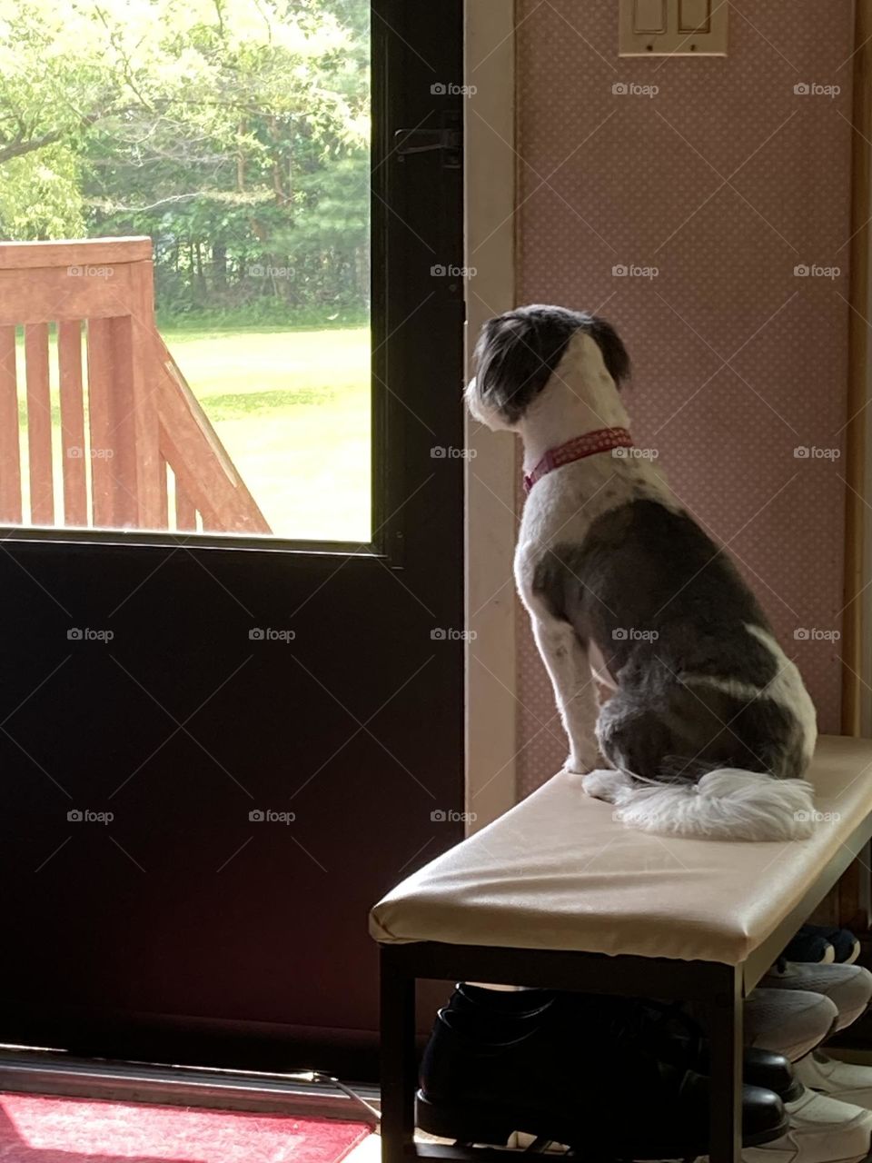 Whacha lookin’ at?