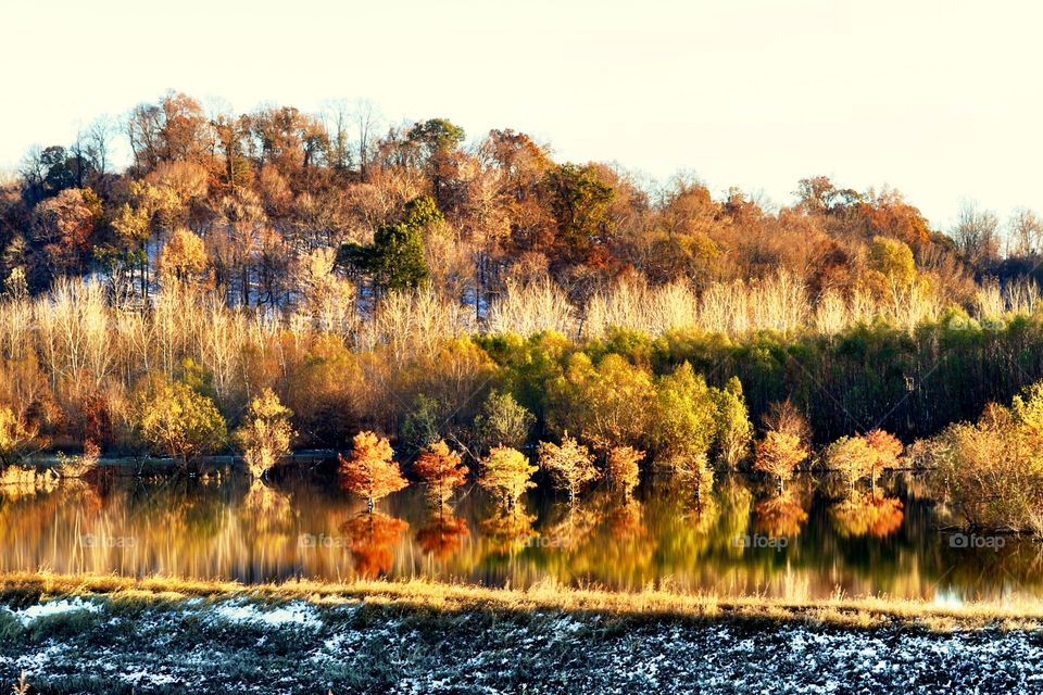 Flooded fields in southeast Missouri make for great photography spots