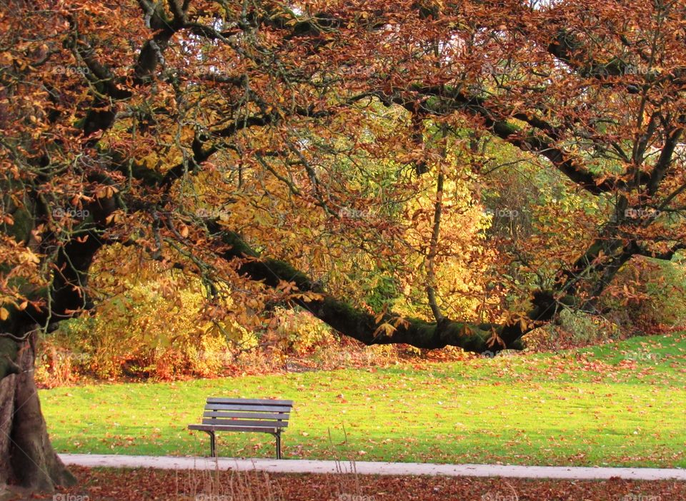 In the park