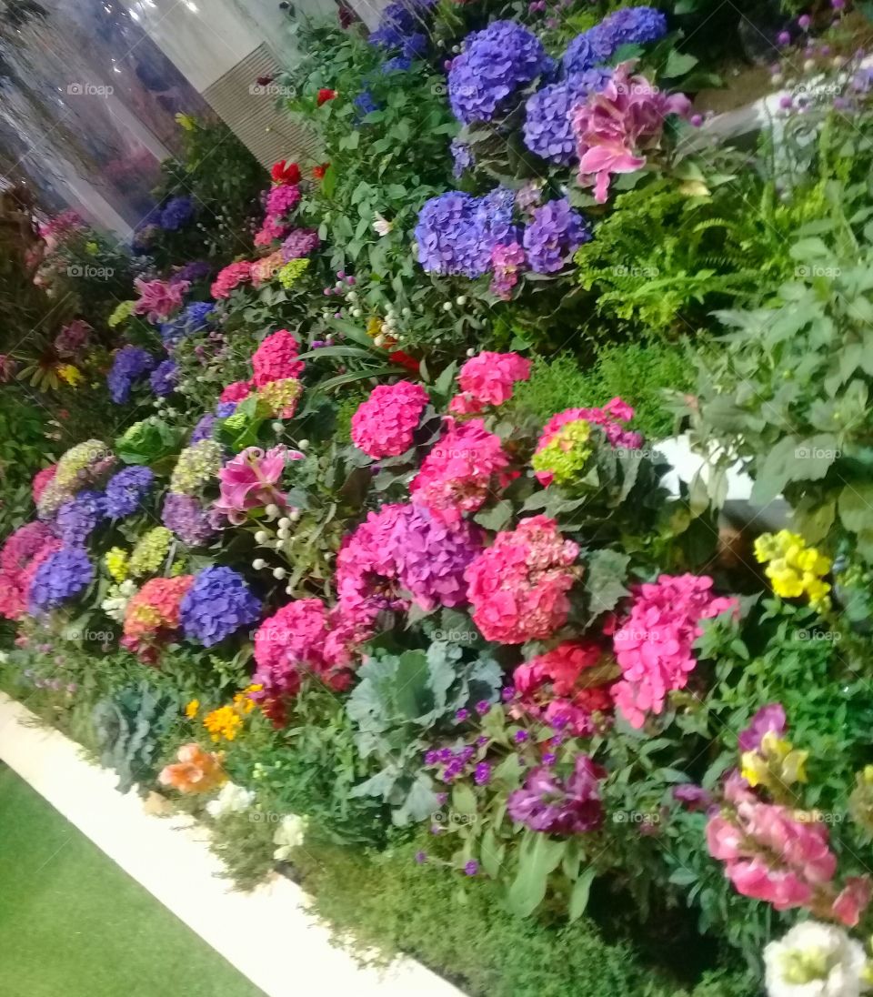 flower garden