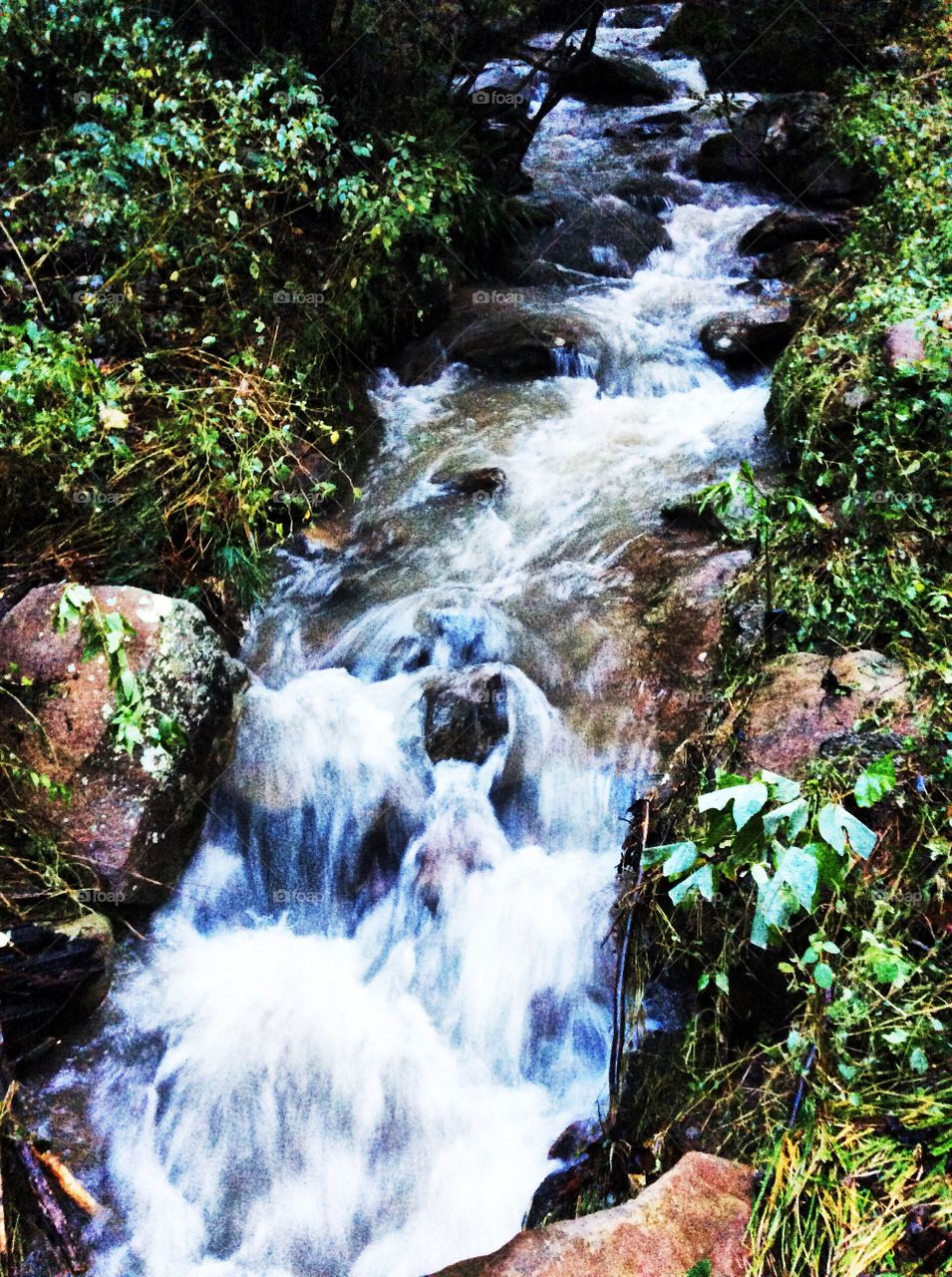 Do not fail
to learn from 
The pure voice of an
Ever-flowing mountain stream
Splashing over the rocks.

