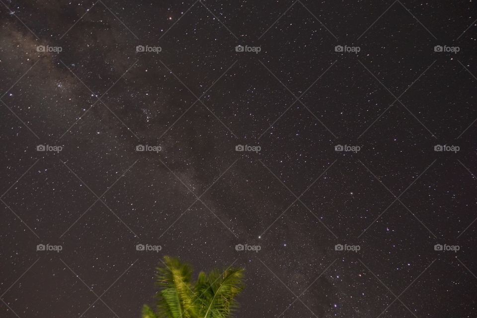 Under Mauritian skies