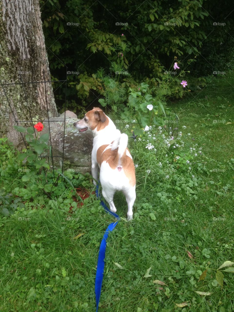 Look at what I found 