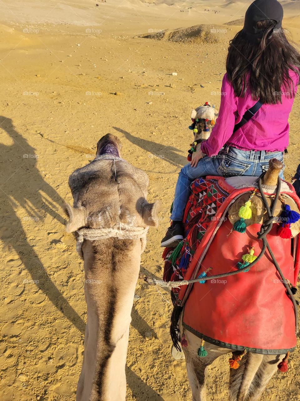 Camel ride