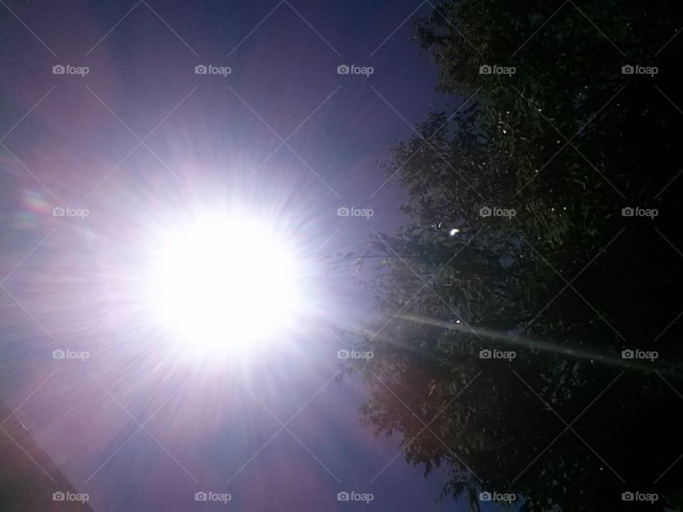 2017 solar eclipse from north Texas