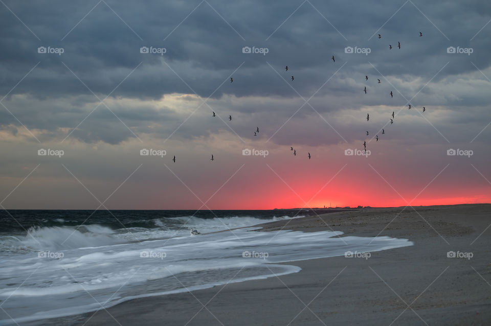 Sunset glow over the beach as seagulls fly past