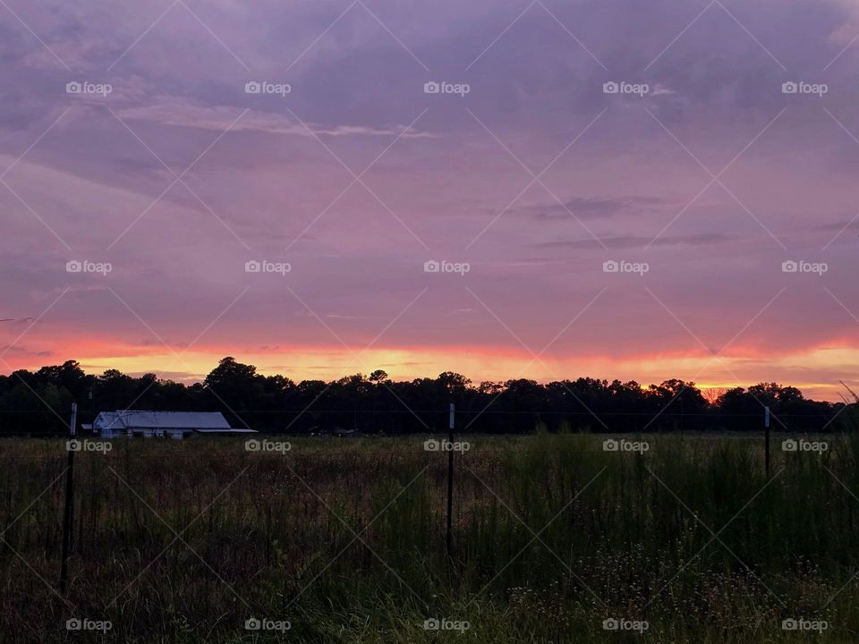 purple skies are to die for