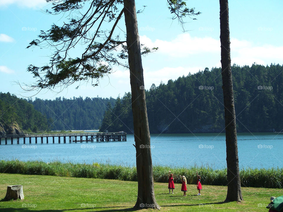 deception pass washington red dress trees by kenglund