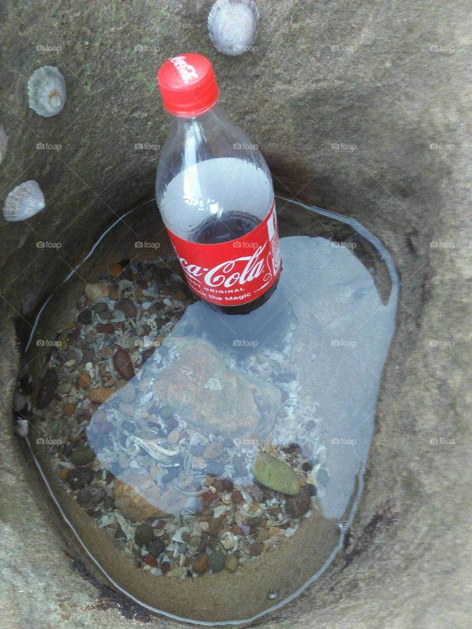 Sweety Cocacola into water at essaouira beach in Morocco