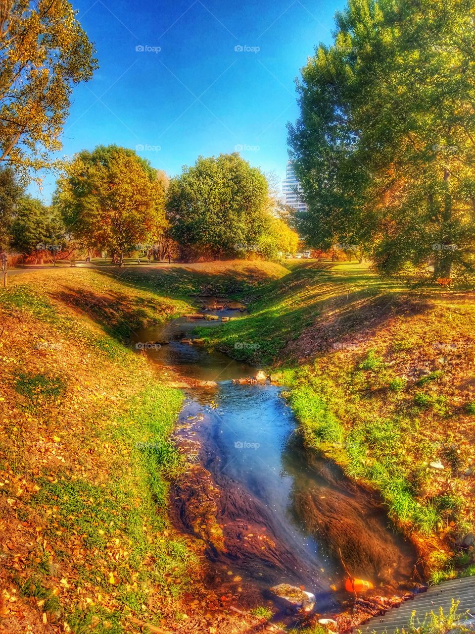 Colours of Autumn