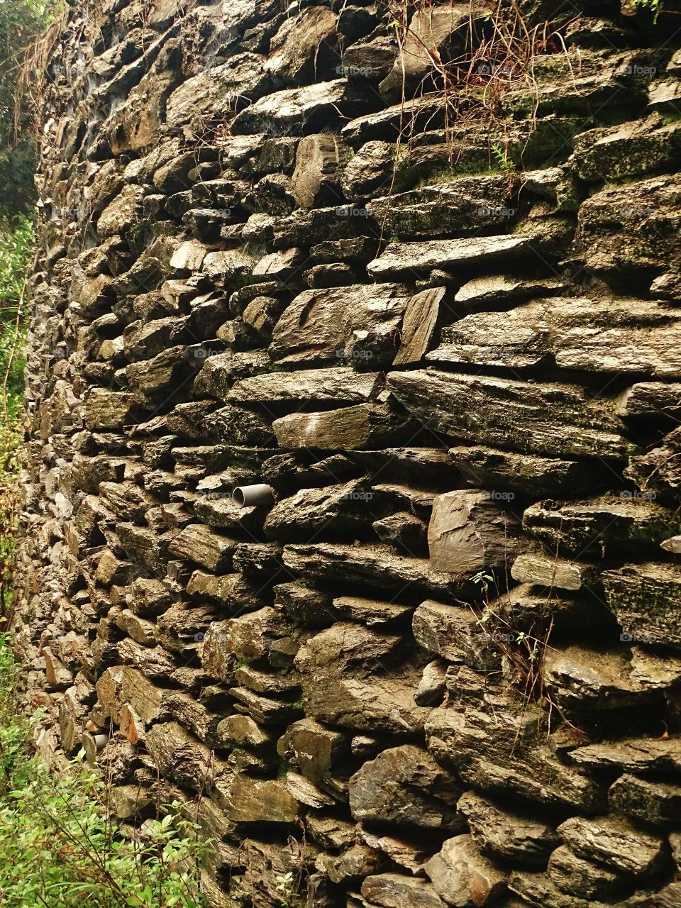 The beauty of the color brown