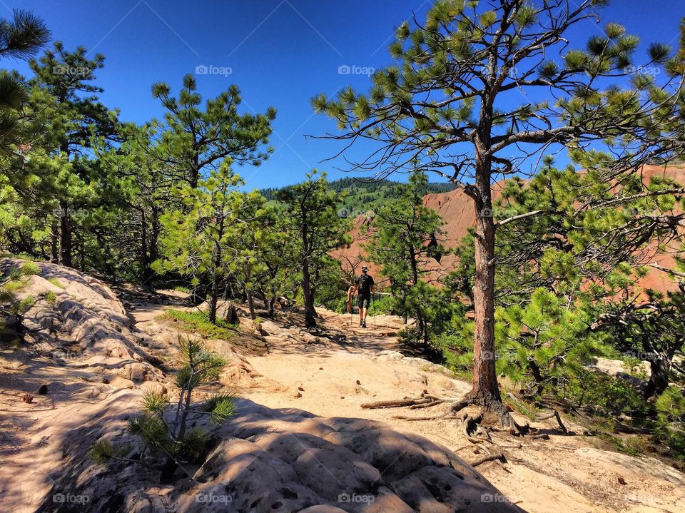 Hiking lyons overlook trail