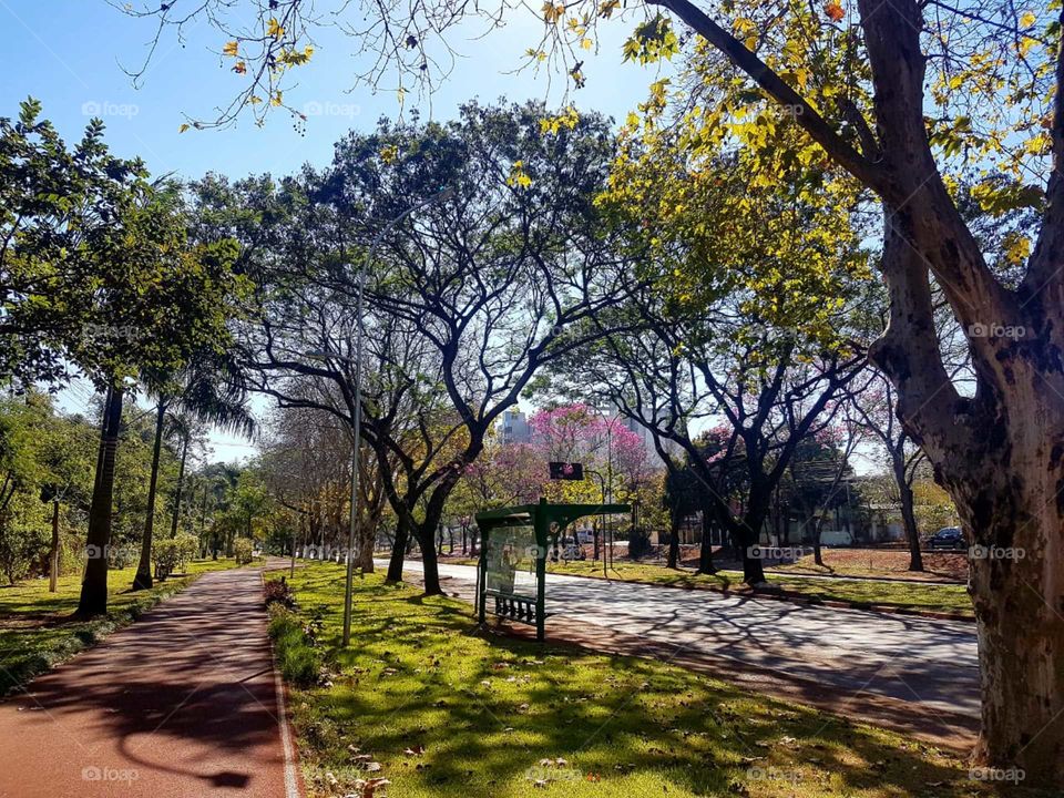 parque
