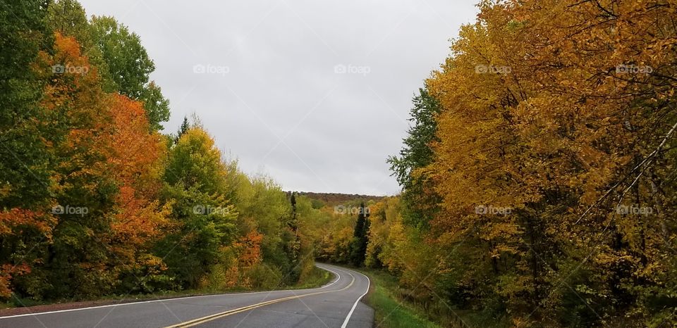 Fall in Wisconsin