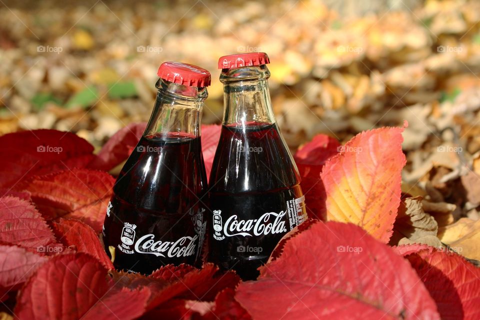 Enjoying the fall, colors and coca-cola.