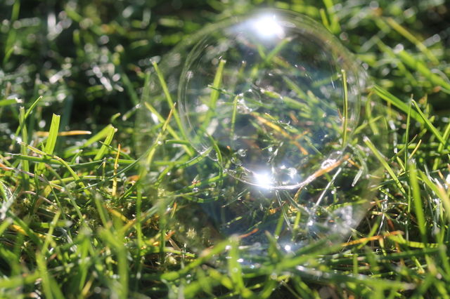grass