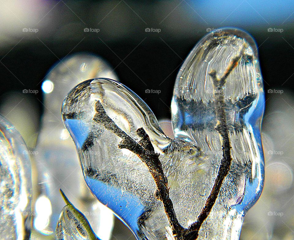 Frosty Marvels: Nature’s Icy Artistry - Surprise frost/ice - Notice a coating of ice crystals, formed by moisture in the air overnight, among other things. This ice usually forms as white ice crystals or frozen dew drops on the grounds surface