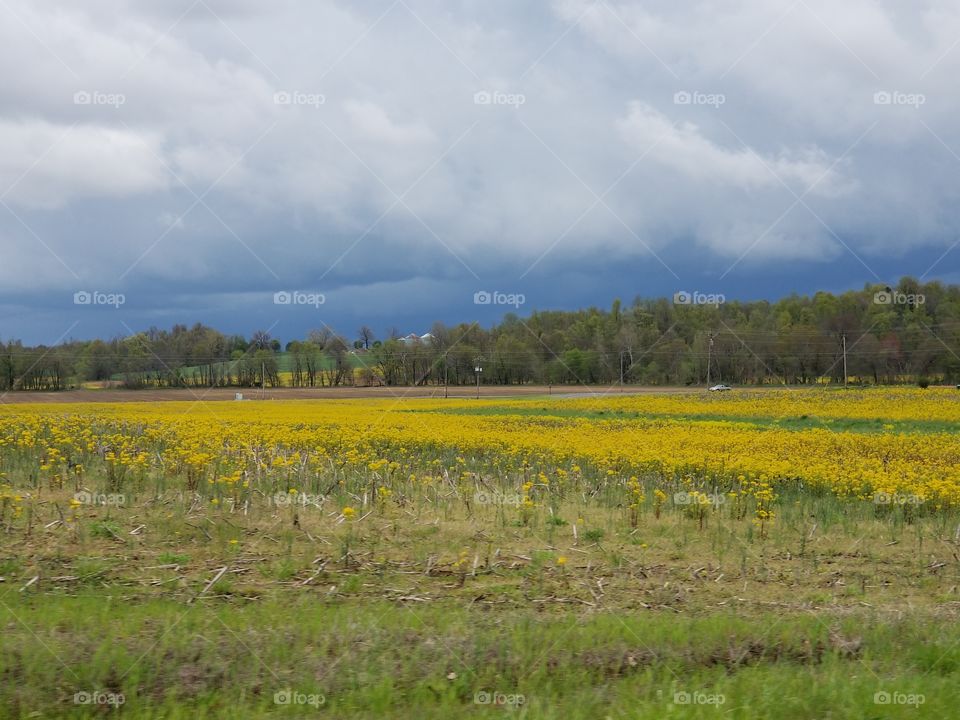 Stormy Skies over farmland