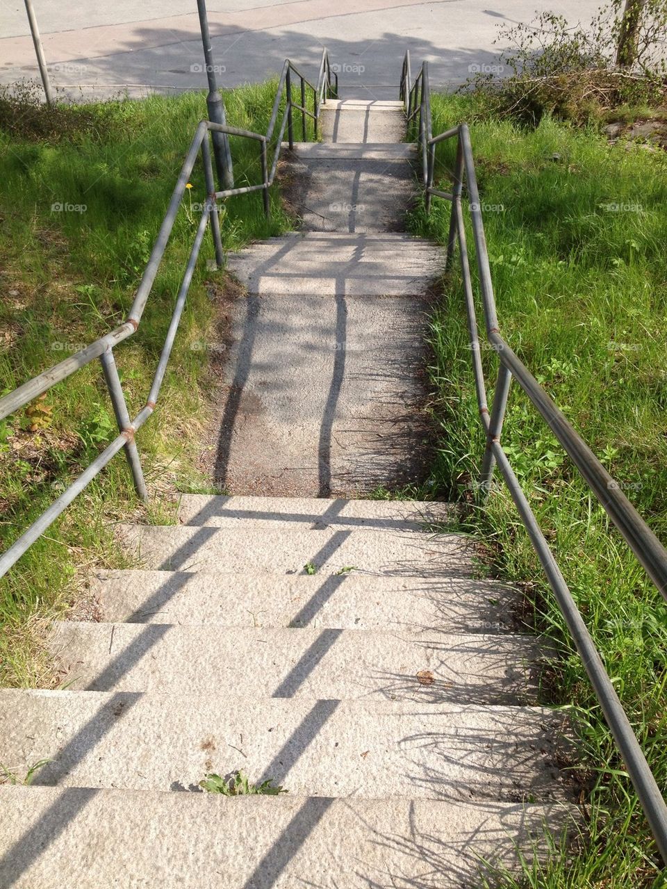 grass sunny stones nice by leta