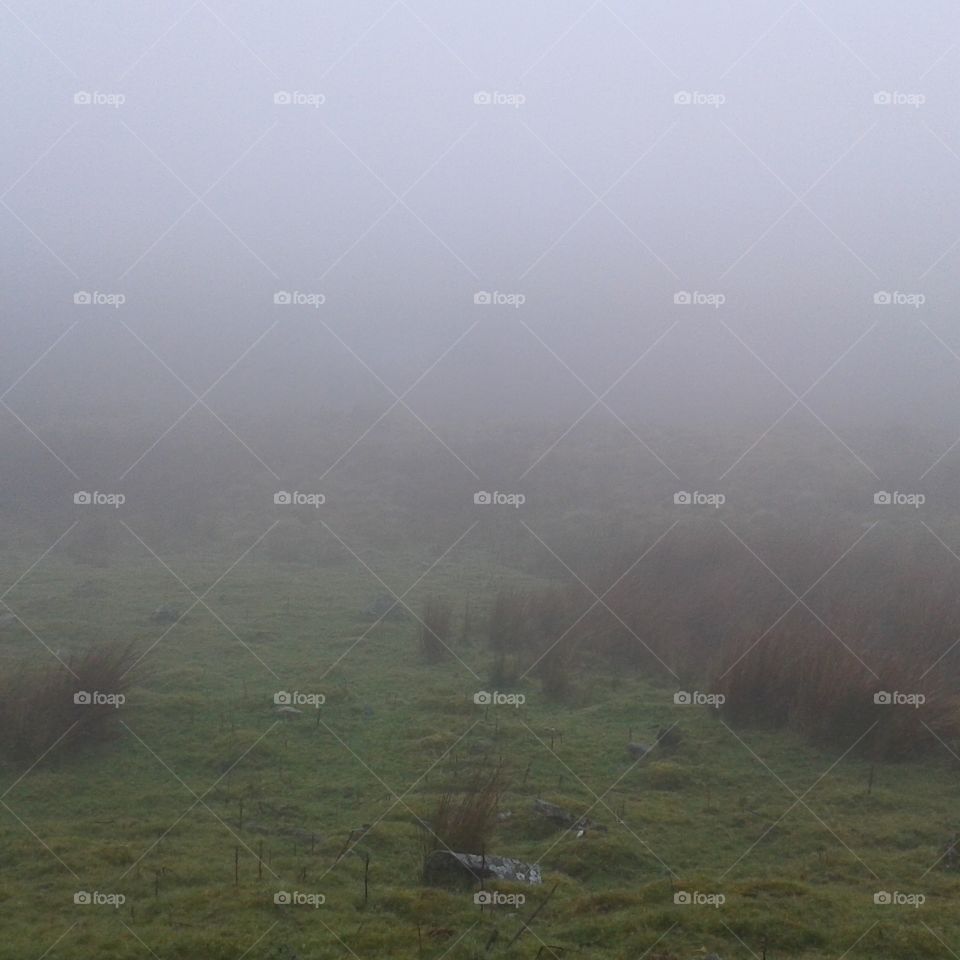 Fog, Mist, Landscape, Dawn, Haze