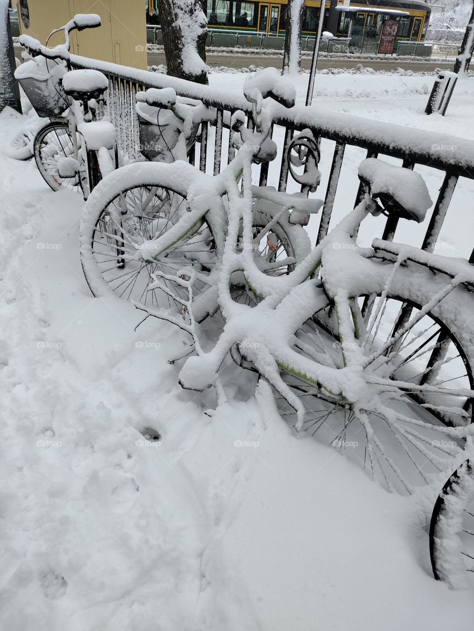 bicycle in the snow