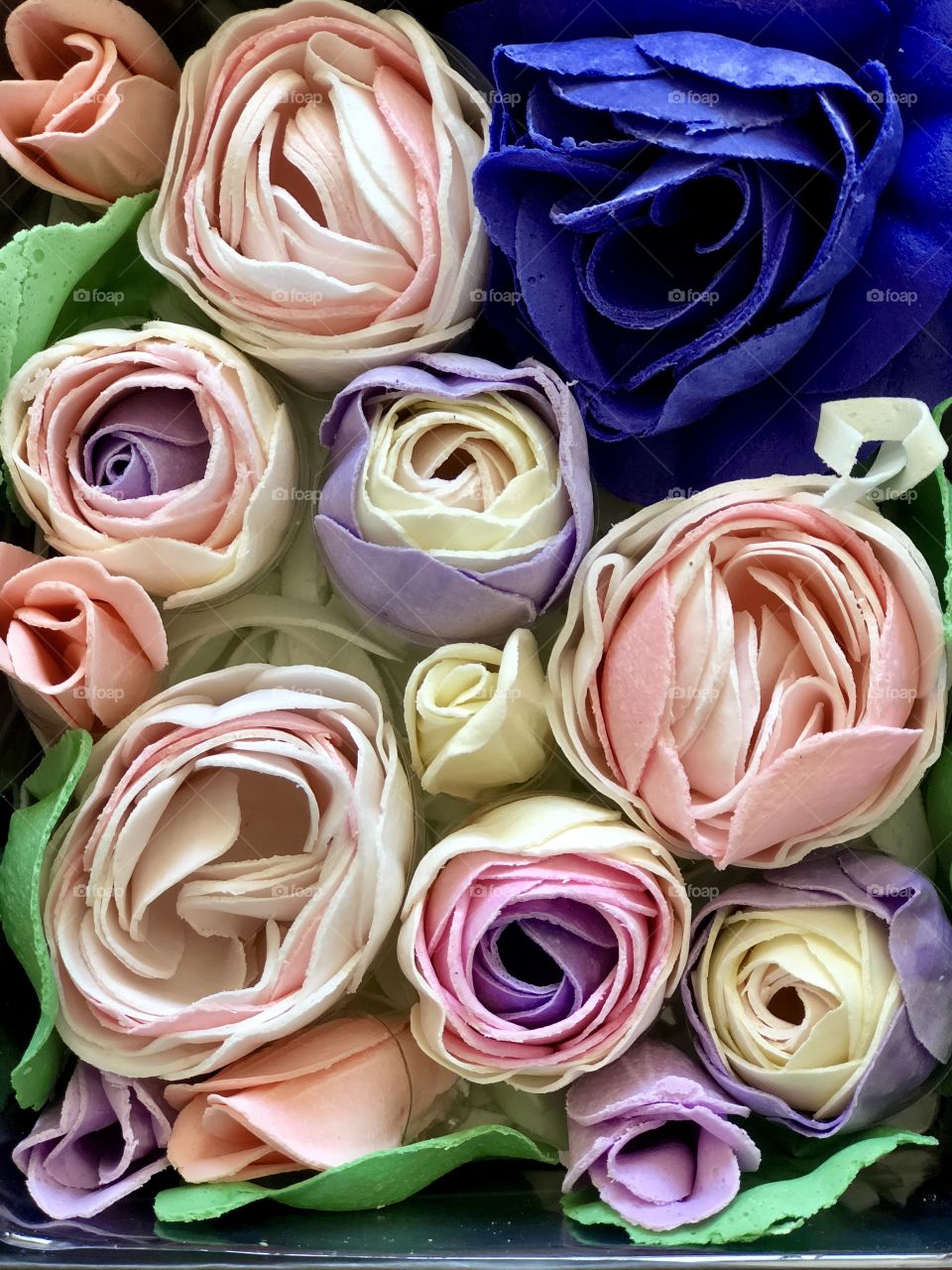 Easter Roses!