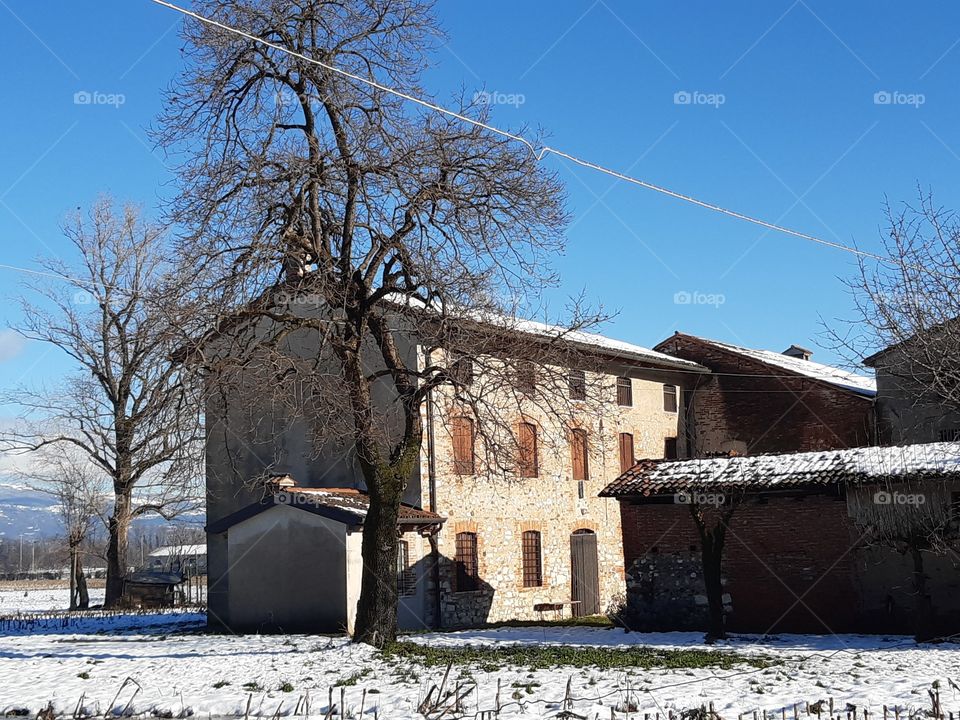 an old house and a high tree in the snow