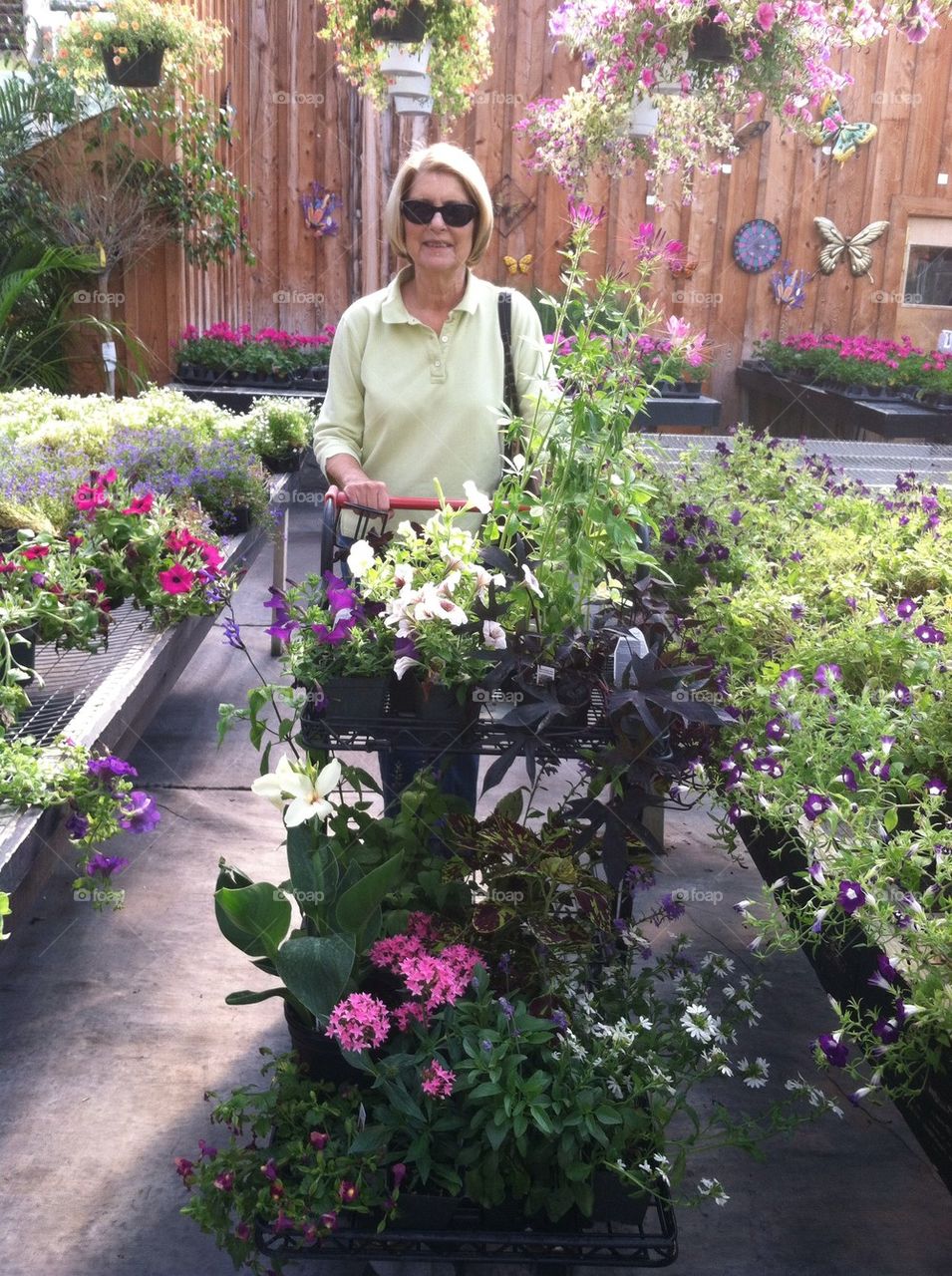 Plant shopper