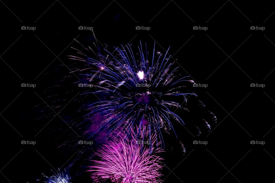 Multiple Pink and Purple Fireworks
